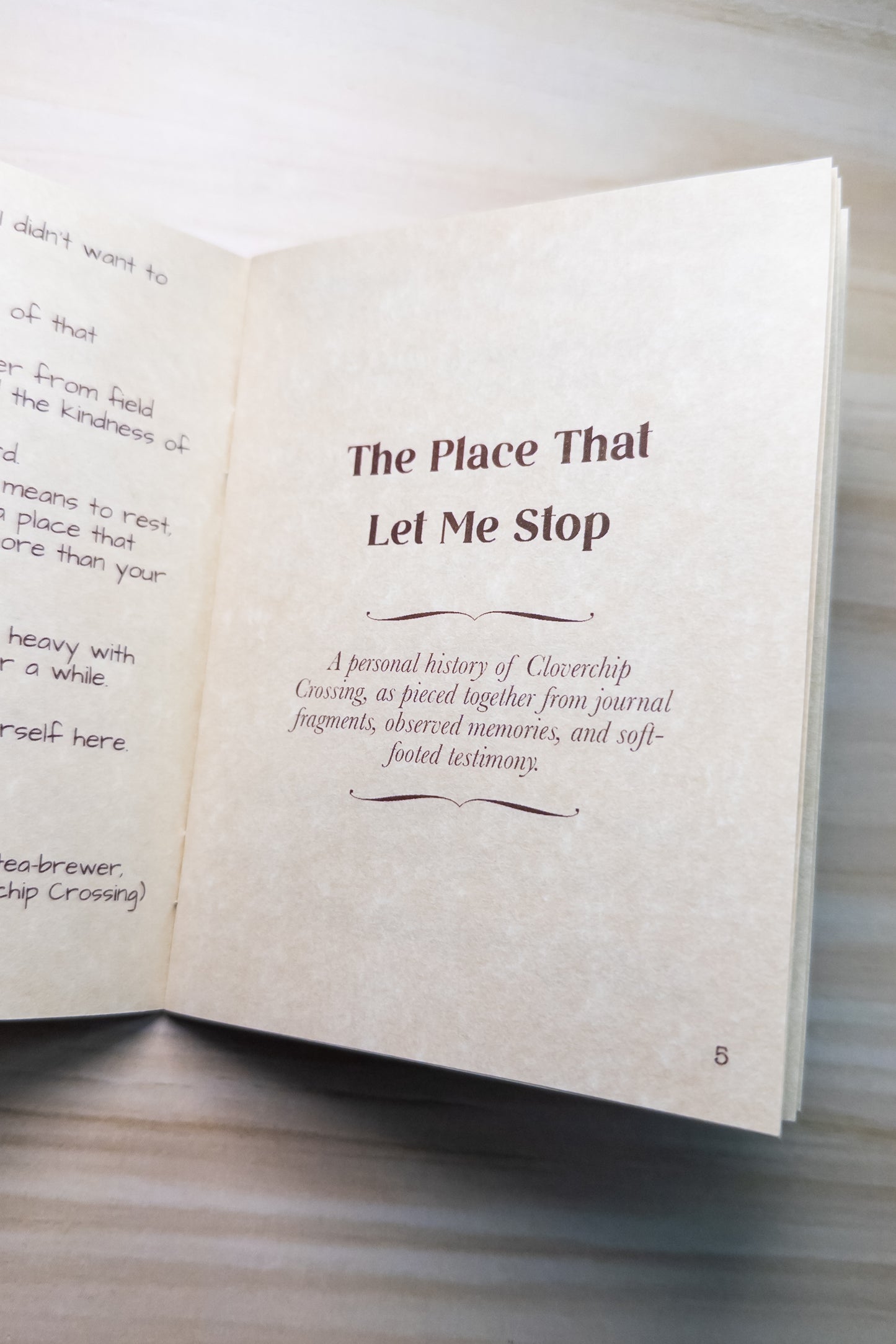 Cloverchip Crossing Chronicles – Issue One: The Place That Let Me Stop Zine