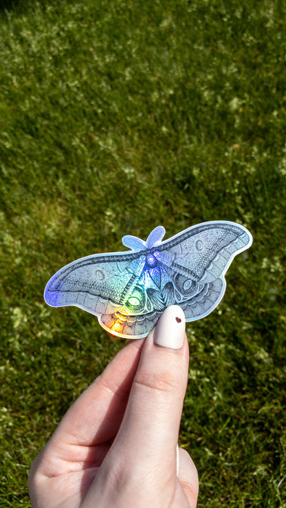 Moth Holographic Sticker 4 inch